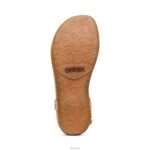 Jane Thong Sandal Aetrex Women Cork XLXT0249 - Image 6