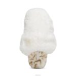 Misty Arch Support Slipper Aetrex Women Ivory XLXT0255 - Image 5